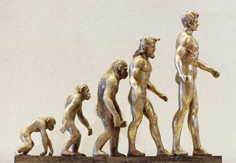 Endlich Disziplin lernen – warum es wichtig ist stark zu werden